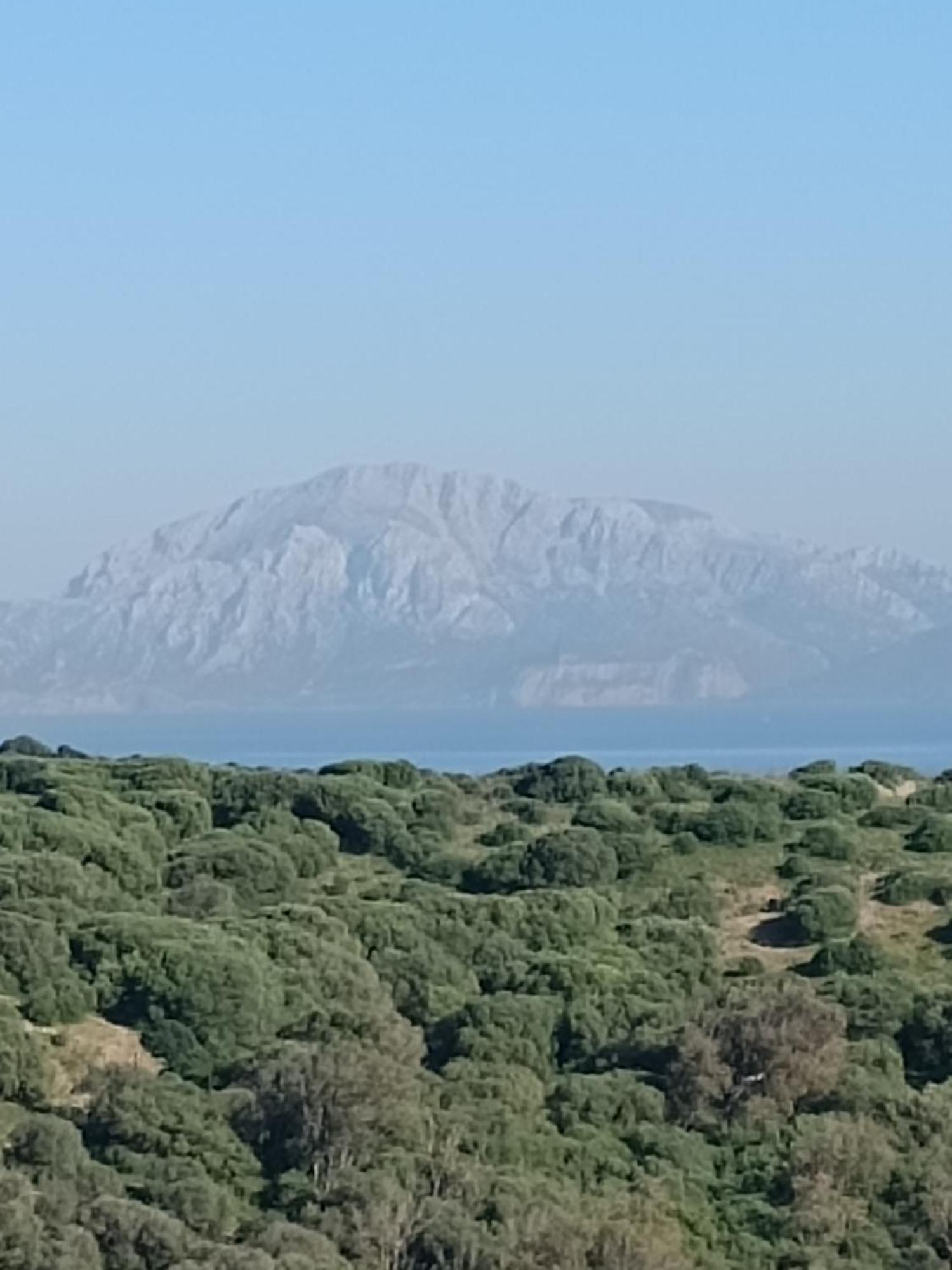 La Ballenita De Tarifa Eksteriør bilde